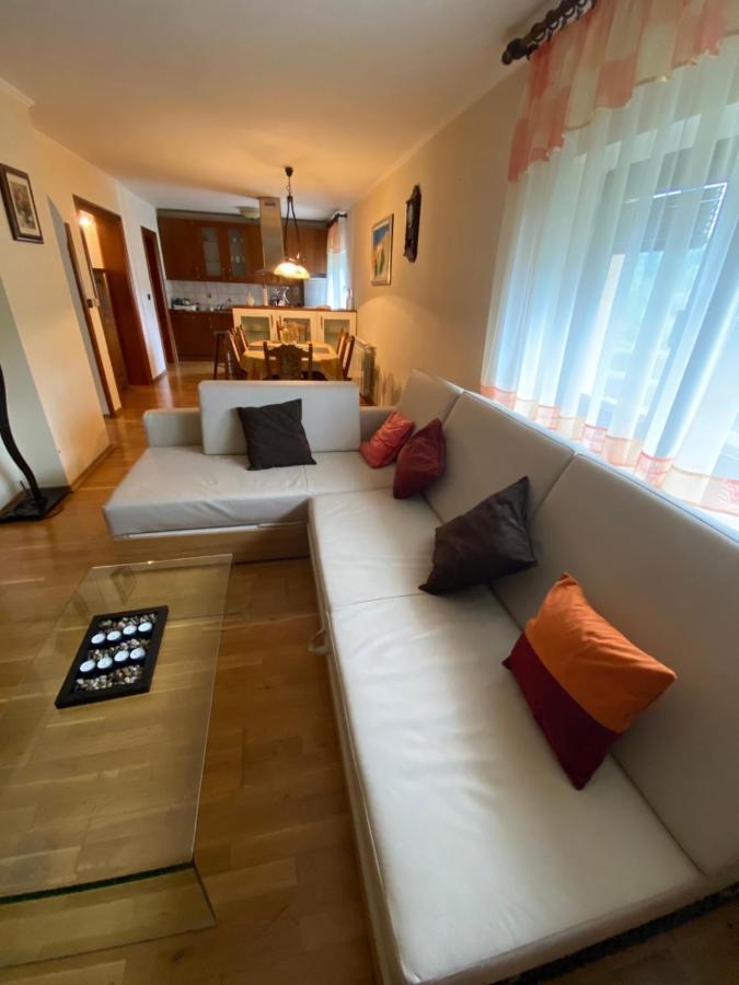 Apartment Tody'S Fužine Extérieur photo